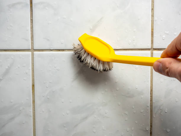 Best Localized Mold Remediation (e.g., coastal areas, humid climates) in Woodson Terrace, MO