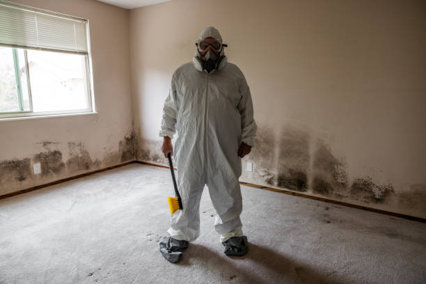 Best Residential Mold Remediation in Woodson Terrace, MO